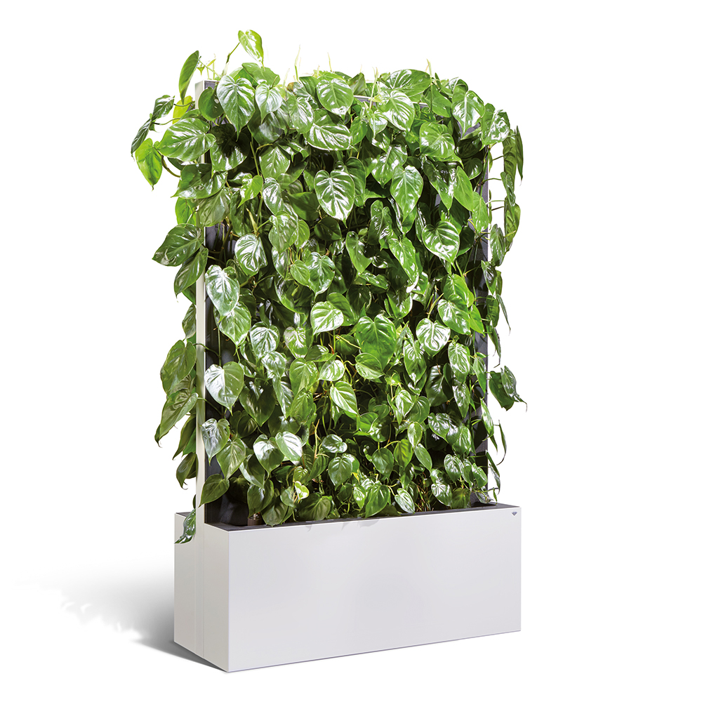 C+P Mobile hedge elements